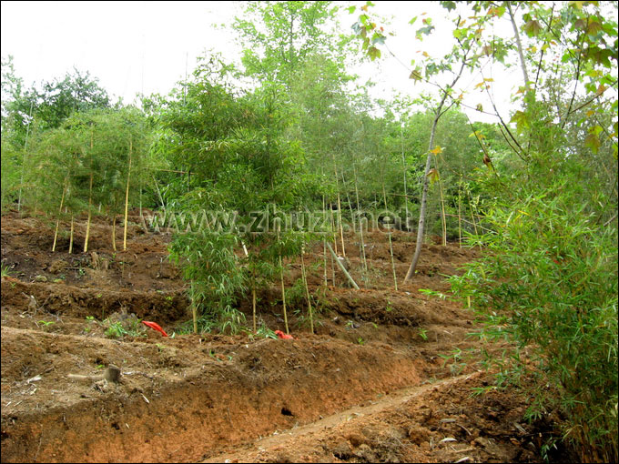 廣東蕉嶺縣長潭省級自然保護(hù)區(qū)