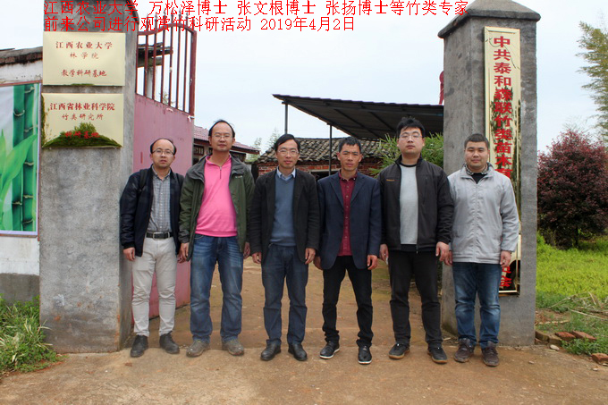 江西農業(yè)大學竹類專家前來公司進行觀賞竹科研活動