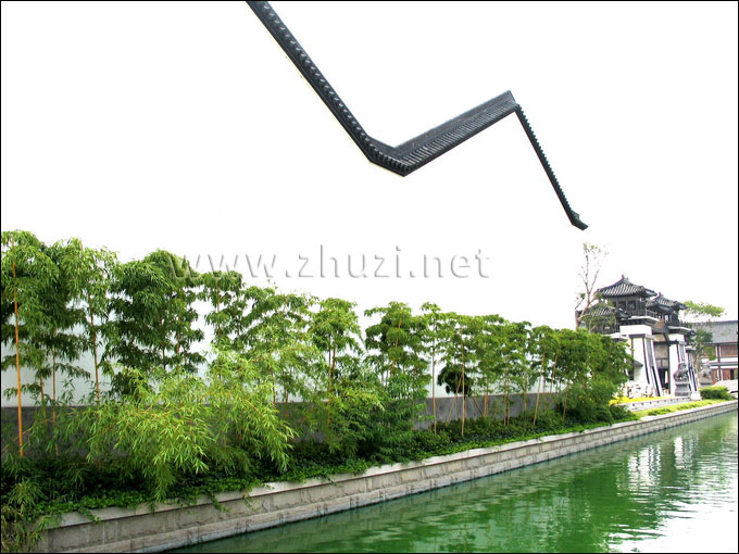 觀賞竹應用于風景區園林造景